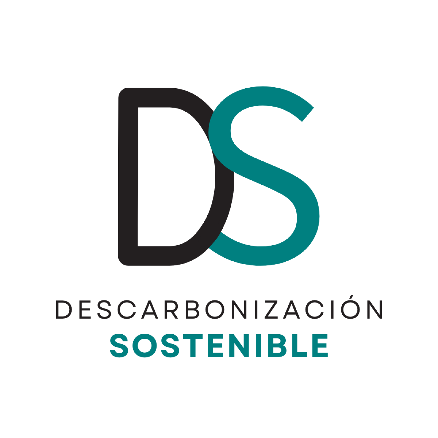 LOGO DS